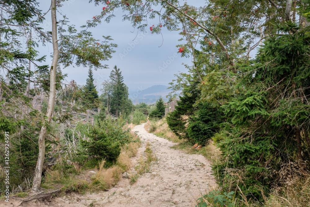 The hiking path from Brocken station, the terminus of the German Brocken Bahn, towards the station of Schierke. Heavy rain is coming towards us. It is located in the Harz mountain range in Saxony. The hiking path from Brocken station, the terminus of the German Brocken Bahn, towards the station of Schierke. Heavy rain is coming towards us. It is located in the Harz mountain range in Saxony.