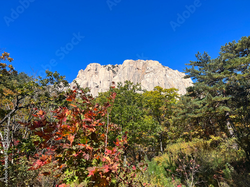 Obraz na płótnie Mountain range at Seoraksan national park w salonie