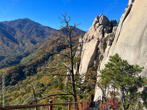 Stairs at mountain range at Seoraksan national park