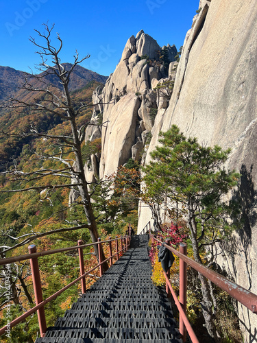 Obraz na płótnie Stairs at mountain range at Seoraksan national park w salonie
