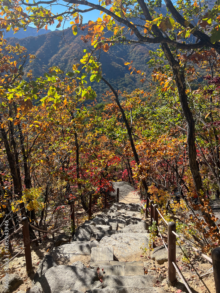 Path at the Mountain range at Seoraksan national park