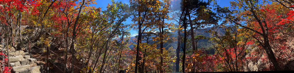 Autumn forest panorama at Seoraksan national park i Autumn forest panorama at Seoraksan national park i