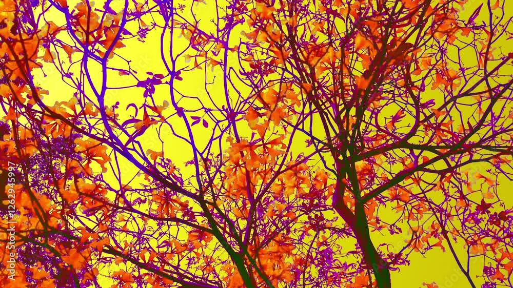 Abstract art trippy of tree branches and Leaves for Background. Abstract art trippy of tree branches and Leaves for Background.