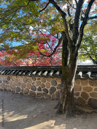 Obraz na płótnie Bulguksa Buddhist temple in Gyeongju, South Korea w salonie