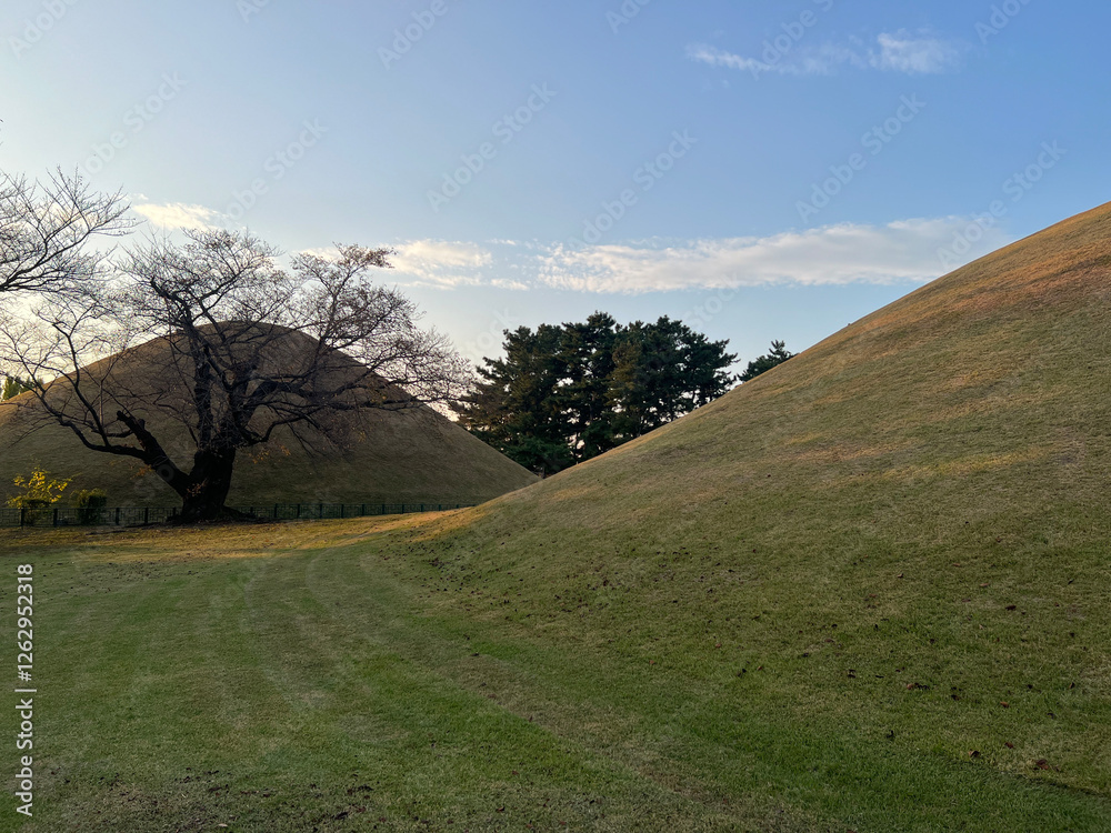 Daereungwon Tomb Complex in Gyeongju