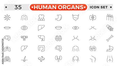 Human Organs outline icon, Organs, anatomy flat line icons set. Human bones, stomach, brain, heart, bladder, nervous system vector illustrations. Outline pictograms for medical clinic.