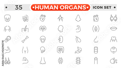 Human Organs outline icon, Organs, anatomy flat line icons set. Human bones, stomach, brain, heart, bladder, nervous system vector illustrations. Outline pictograms for medical clinic.