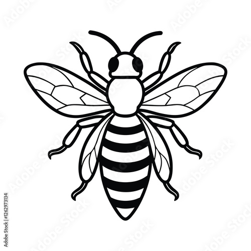 bee vector illustration on a white background