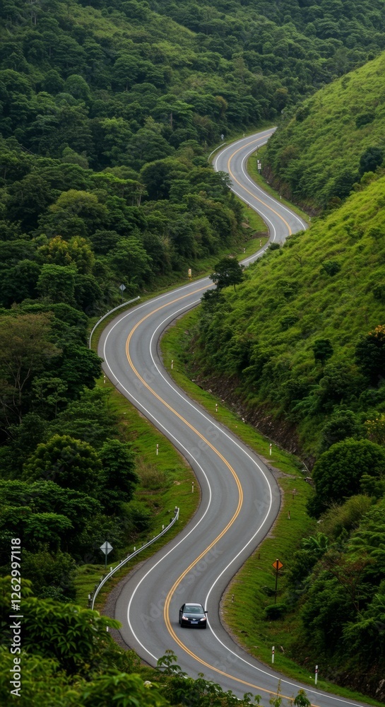 Fototapeta premium Serene Journey Through Nature