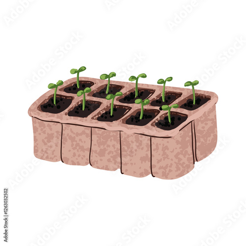 Vector Colorful Illustration of Seedlings Colorful Isolated on White Background