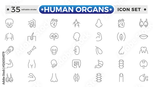 Human Organs outline icon, Organs, anatomy flat line icons set. Human bones, stomach, brain, heart, bladder, and nervous system vector illustrations. Editable stroke outline icon.