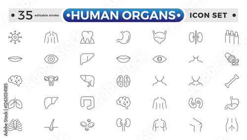 Human Organs outline icon, Organs, anatomy flat line icons set. Human bones, stomach, brain, heart, bladder, and nervous system vector illustrations. Editable stroke outline icon.