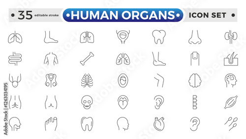 Human Organs outline icon, Organs, anatomy flat line icons set. Human bones, stomach, brain, heart, bladder, and nervous system vector illustrations. Editable stroke outline icon.