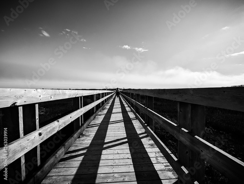 bridge over the river photo