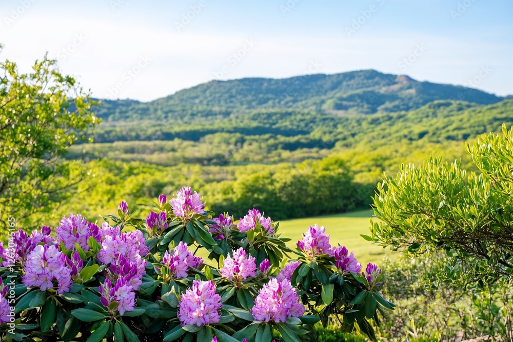 Pink rhododendrons bloom in foreground, with green hills blurring in background Pink rhododendrons bloom in foreground, with green hills blurring in background