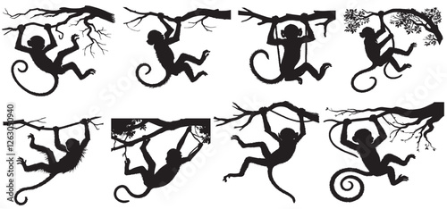 Set of different monkey silhouettes isolated on white background. Capuchin monkey and chimpanzee hanging,