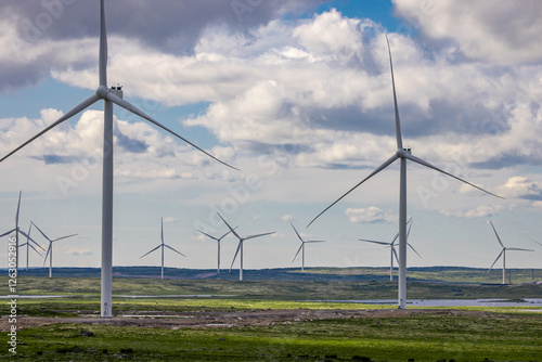 wind turbines in a field against a background of blue sky with clouds, wind farm, Kola peninsula, power plant, windmill