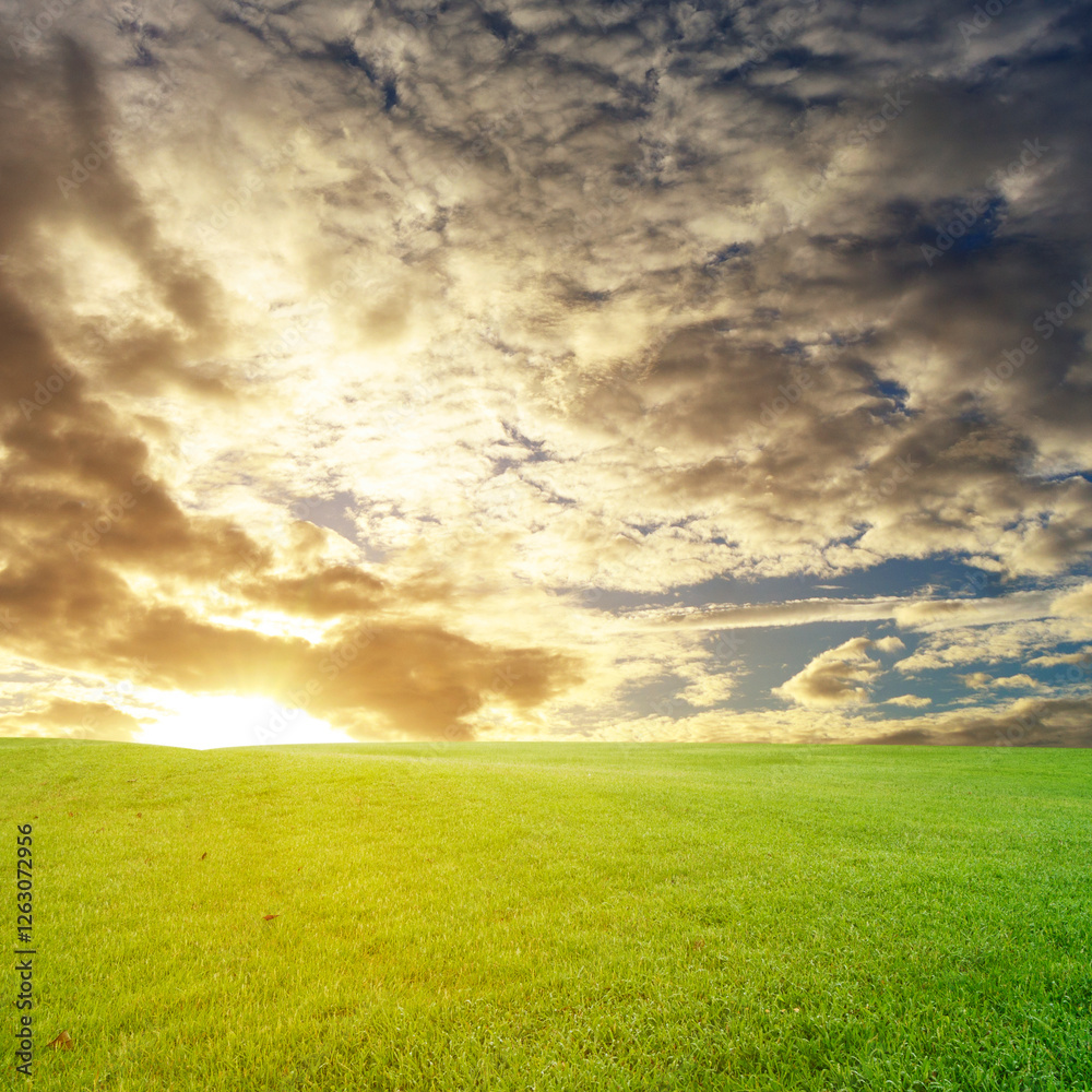 Landscape Sky and Field Board Background Landscape Sky and Field Board Background