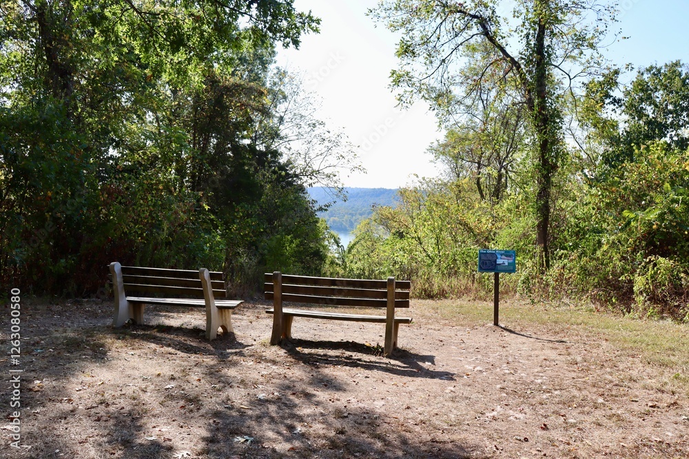 The empty park bench in the woods on a sunny day. The empty park bench in the woods on a sunny day.