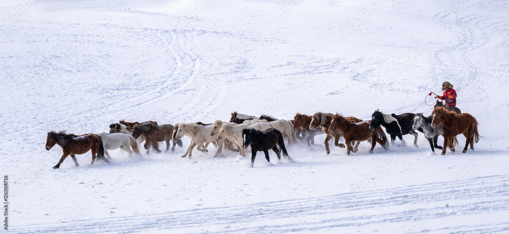 Naklejka premium herd of horses