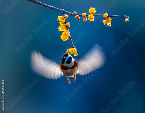 fishing hook on blue background photo