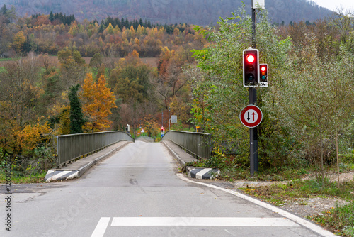 Lonely road with a traffic light and a - smaller - special traffic light for horses. No car is waiting in front of a red light. Autumn mood with the forest in the typical autumn colors.