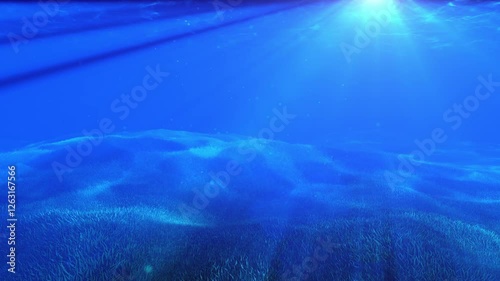 Rays of sunlight shining through clear ocean water onto gently waving plant life below on a seamless loop with copy space.

