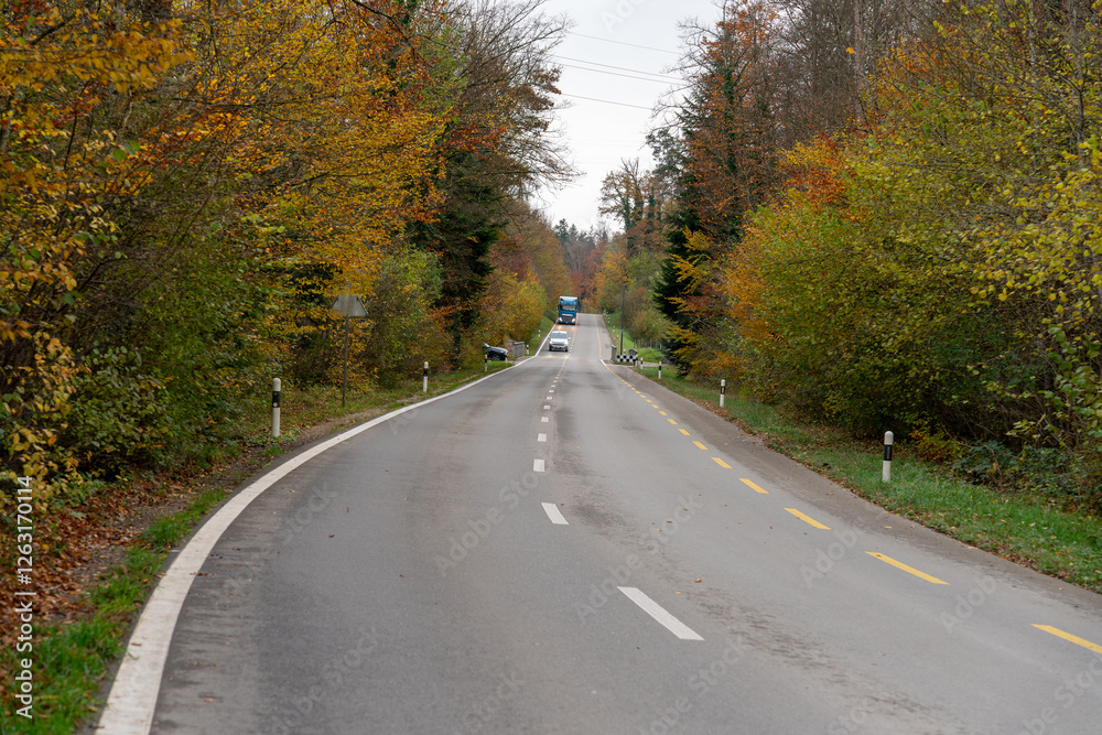 Obraz premium Road in the late afternoon. A car and a truck are driving on the road through the autumn forest.