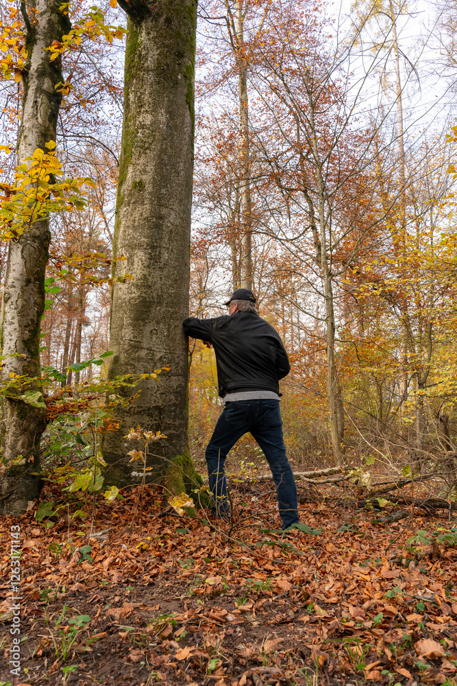 Man is standing in the autumn forest, leaning against a huge gree with his elbow., Back view, part of the face is visible. . Man is standing in the autumn forest, leaning against a huge gree with his elbow., Back view, part of the face is visible. .