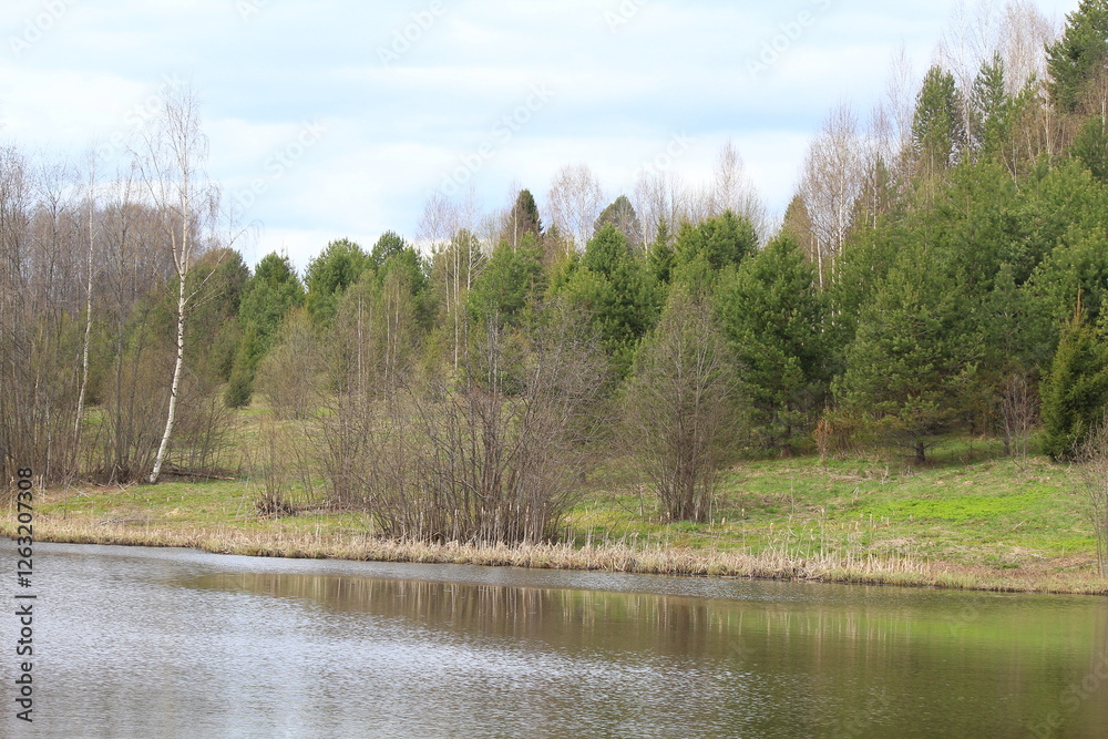 Obraz premium forest on the lake shore in mid-spring