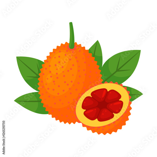 Gac whole fruit and halved isolated on transparent background. Momordica cochinchinensis, baby jackfruit, sweet or cochinchin gourd icon. Vector illustration of tropical exotic fruits in flat style.