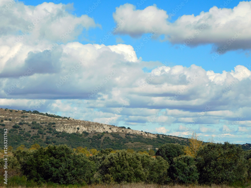 blue sky and clouds in the forest blue sky and clouds in the forest