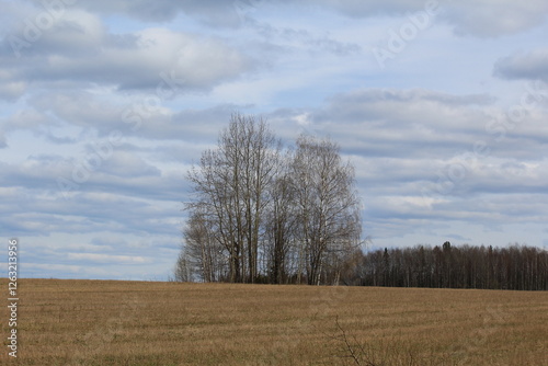 white clouds over field and forest in mid spring photo