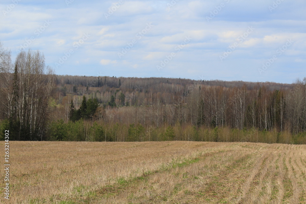 fields and forests of northeastern Europe in mid-spring on a sunny day fields and forests of northeastern Europe in mid-spring on a sunny day