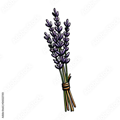 Create a detailed vector illustration of a vibrant lavender bouquet, featuring individual blossoms and stems, with editable strokes for easy customization.  High-resolution, clean lines.