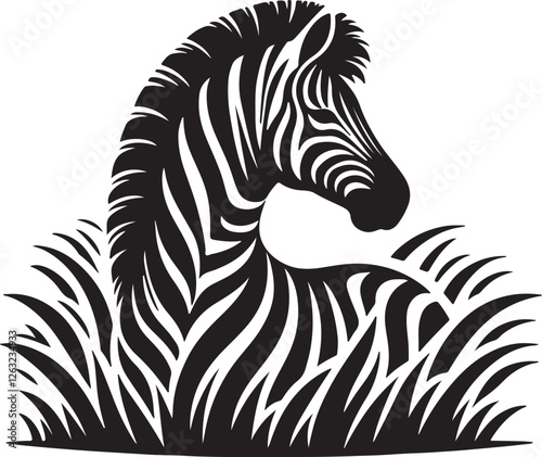 zebra vector illustration