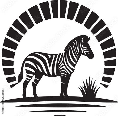 zebra vector illustration