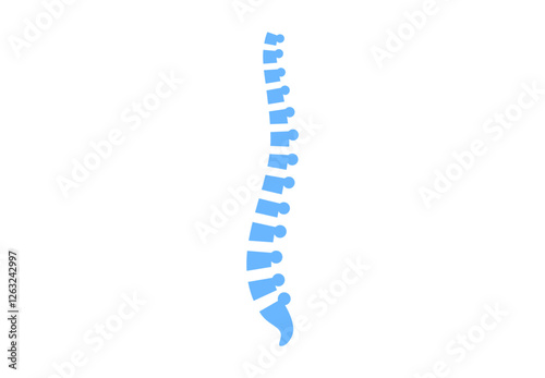 Spine medical poster