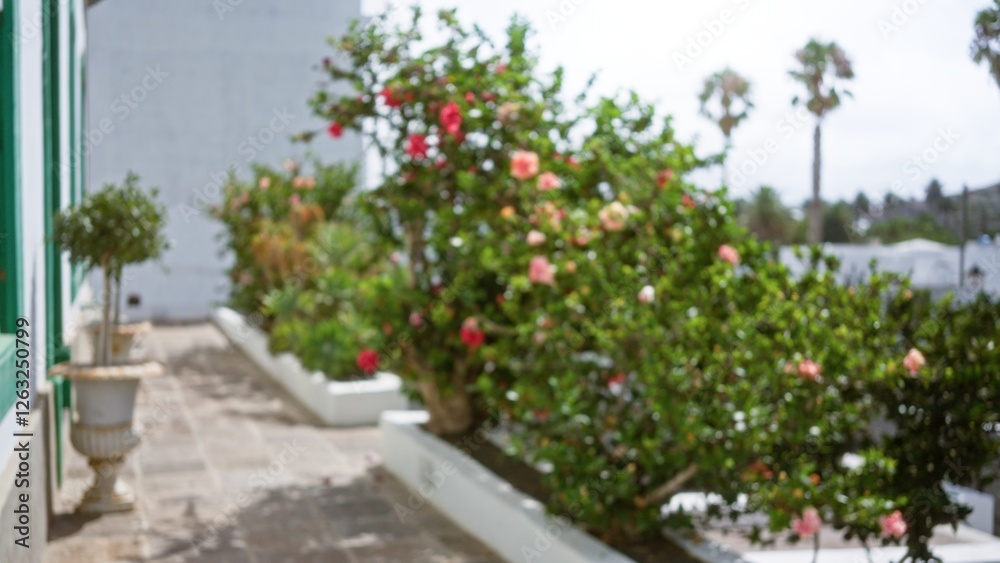 Obraz premium Outdoor scene with blurred vibrant flowers and plants against the backdrop of lanzarote's serene gardens in canary islands, spain, creating a bokeh effect