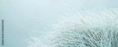 Whispering Wild Grasses in Pale Blue Hues