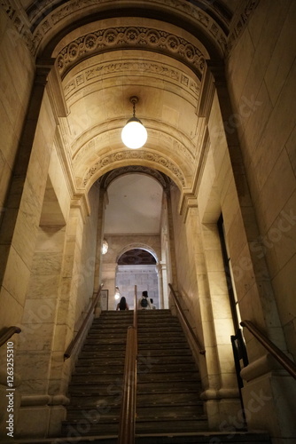 new york, public library 