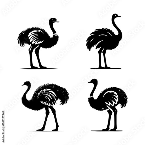 Standing Ostrich Silhouette Vector Set – Elegant Flightless Bird Illustration