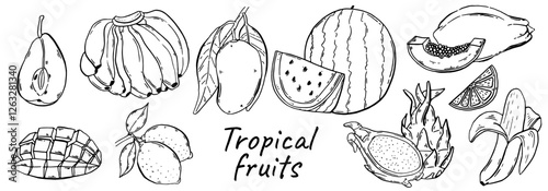 Tropical fruits set. Hand drawn collection summer fruits. Sketch style exotic food. Vector illustration