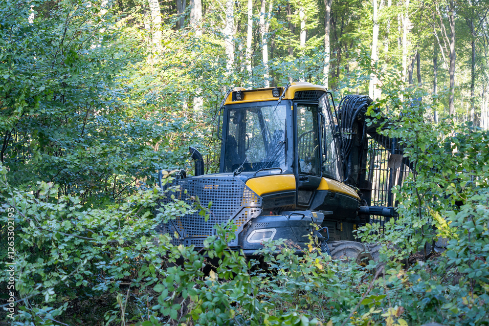 Black-yellow forest logging tractor in dense green woodland Black-yellow forest logging tractor in dense green woodland