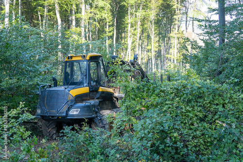 Black-yellow forest logging tractor in dense green woodland