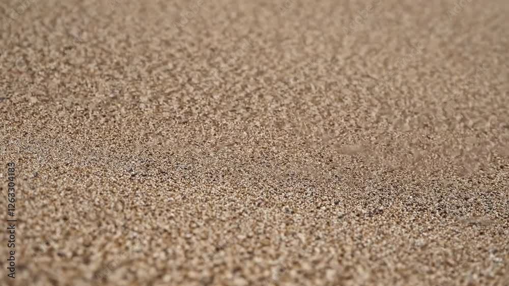 Close-up video of sandy beach texture, shot from a low angle. The focus is on the detailed grains, creating a natural, earthy aesthetic. Close-up video of sandy beach texture, shot from a low angle. The focus is on the detailed grains, creating a natural, earthy aesthetic.