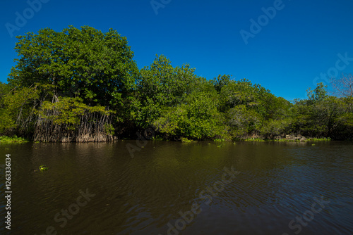 lake in the park