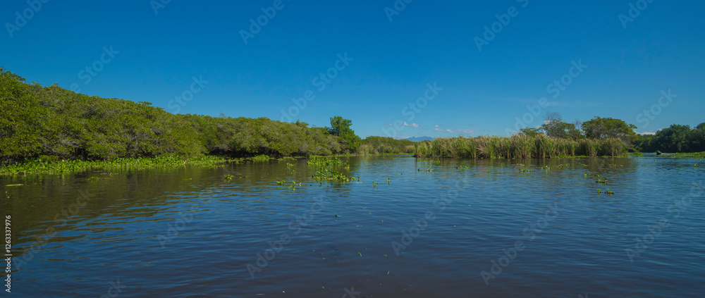 Obraz premium reflection of trees in water