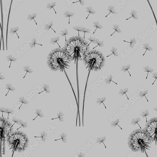 Seamless Pattern Dandelions Big Design and Flying Seed on Gray Background