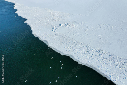 Aerial view of a frozen lake, sea water with snow, Prince Edward Island Canada.